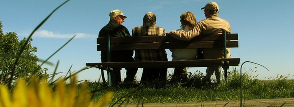 Four seniors, who can only be seen from behind, on a bench in the middle of a meadow